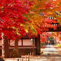 Sigma シグマ のレンズ 17 50mm F2 8 Ex Dc Os Hsm キヤノン用 で撮影した写真 画像 一覧 写真共有サイト Photohito