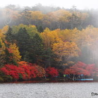 紅葉の写真 画像 写真集 写真共有サイト Photohito