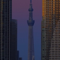 東京スカイツリーの写真 画像 写真集 写真共有サイト Photohito