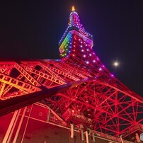 Sigma シグマ のレンズ 8 16mm F4 5 5 6 Dc Hsm ペンタックス用 で撮影した写真 画像 一覧 写真共有サイト Photohito