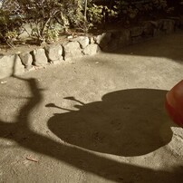 KODAK(コダック)のデジタルカメラKODAK EASYSHARE Camera, M532 で撮影