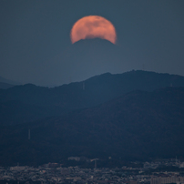 Sigma シグマ のレンズ 150 600mm F5 6 3 Dg Os Hsm Contemporary テレコンバーターキット キヤノン用 で撮影した写真 画像 一覧 写真共有サイト Photohito