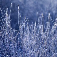 雪 氷の写真 画像 写真集 写真共有サイト Photohito