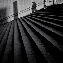 モノクロの写真 画像 写真集 写真共有サイト Photohito