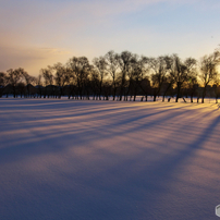 Sigma シグマ のレンズ 24 105mm F4 Dg Os Hsm ニコン用 で撮影した写真 画像 一覧 写真共有サイト Photohito