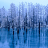 青い池 北海道 の写真 画像 写真集 写真共有サイト Photohito