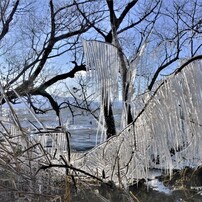 湖辺の氷柱　1