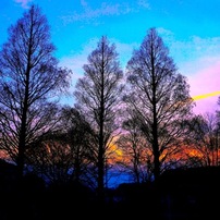 写真句：夕暮れ：NTW266