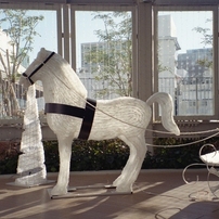 NIKON(ニコン)のフィルムカメラLite Touch Zoom 120 ED QD で撮影した