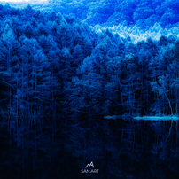 Sigma シグマ のレンズ 17 50mm F2 8 Ex Dc Os Hsm キヤノン用 で撮影した写真 画像 一覧 写真共有サイト Photohito