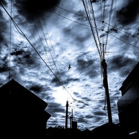 Sony ソニー のデジタルカメラサイバーショット Dsc Rx100m5 で撮影した写真 画像 一覧 5ページ目 写真共有サイト Photohito
