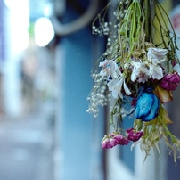 花束 ブーケの写真 画像 写真集 写真共有サイト Photohito