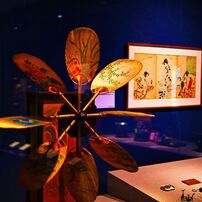 Sigma シグマ のレンズ 30mm F1 4 Dc Hsm ペンタックス用 で撮影した写真 画像 一覧 写真共有サイト Photohito