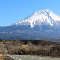 Canon キヤノン のレンズ Ef S18 55mm F4 5 6 Is Stm で撮影した写真 画像 一覧 写真共有サイト Photohito