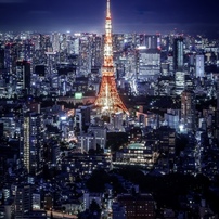 東京タワーの写真 画像 写真集 写真共有サイト Photohito