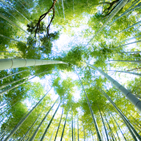 Pentax ペンタックス のレンズ Smc Pentax Da Fish Eye 10 17mmf3 5 4 5ed If で撮影した写真 画像 一覧 写真共有サイト Photohito