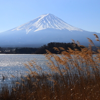 Canon キヤノン のレンズ Ef24 105mm F4l Is Usm で撮影した写真 画像 一覧 写真共有サイト Photohito