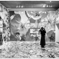 Fujifilm 富士フイルム のレンズ フジノンレンズ Xf8 16mmf2 8 R Lm Wr で撮影した写真 画像 一覧 写真共有サイト Photohito