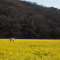 Canon キヤノン のレンズ Ef S24mm F2 8 Stm で撮影した写真 画像 一覧 写真共有サイト Photohito