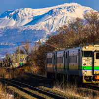 Canon キヤノン のレンズ Ef100 400mm F4 5 5 6l Is Ii Usm で撮影した写真 画像 一覧 写真共有サイト Photohito
