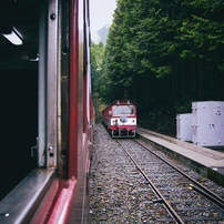 CANON(キヤノン)のデジタルカメラPowerShot A495 で撮影した写真