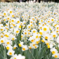 葛西臨海公園散策