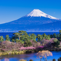 PENTAX(ペンタックス)のレンズ FA645ズーム 80～160mmF4.5 で撮影した