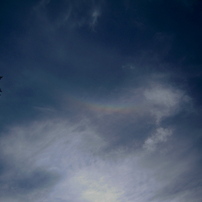 NIKON(ニコン)のデジタルカメラCOOLPIX S620 で撮影した写真(画像)一覧