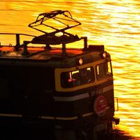 NIKON(ニコン)のレンズ Ai AF-S Zoom Nikkor ED 80-200mm F2.8D(IF