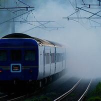 NIKON(ニコン)のレンズ Ai AF-S Nikkor ED 300mm F2.8D II (IF