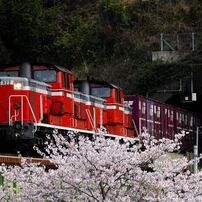 NIKON(ニコン)のレンズ Ai AF-S Zoom Nikkor ED 80-200mm F2.8D(IF