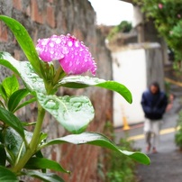 KODAK(コダック)のデジタルカメラKODAK EASYSHARE Camera, M532 で撮影