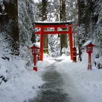 PANASONIC(パナソニック)のデジタルカメラLUMIX DMC-FH5 で撮影した