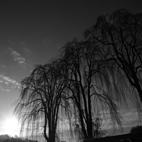 Sigma シグマ のデジタルカメラsigma Dp0 Quattro で撮影した写真 画像 一覧 2ページ目 写真共有サイト Photohito