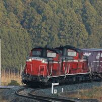 NIKON(ニコン)のレンズ Ai AF-S Nikkor ED 300mm F2.8D II (IF