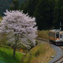 NIKON(ニコン)のレンズ Ai AF-S Zoom Nikkor ED 80-200mm F2.8D(IF