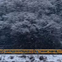 NIKON(ニコン)のレンズ Ai AF-S Zoom Nikkor ED 80-200mm F2.8D(IF