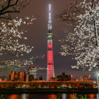 ①福島県