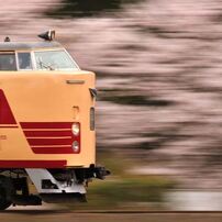 NIKON(ニコン)のレンズ Ai AF-S Zoom Nikkor ED 80-200mm F2.8D(IF