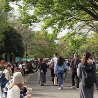 公園に人は集う