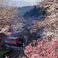 あいづ鉄道！