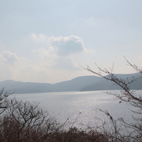 芦ノ湖　山中湖　湖　