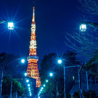 東京タワーの写真 画像 写真集 写真共有サイト Photohito