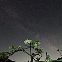 SAMYANG(サムヤン)のレンズ 10mm F2.8 ED AS NCS CS [ペンタックス用