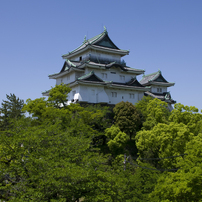 新緑の和歌山城　其の六