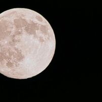 SIGMA(シグマ)のレンズ APO 150-500mm F5-6.3 DG OS HSM (ソニー用) で