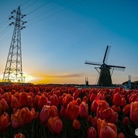 Sigma シグマ のデジタルカメラsigma Dp0 Quattro で撮影した写真 画像 一覧 写真共有サイト Photohito