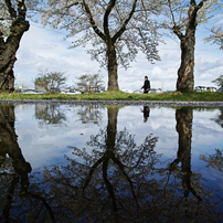 Sigma シグマ のデジタルカメラsigma Dp0 Quattro で撮影した写真 画像 一覧 写真共有サイト Photohito