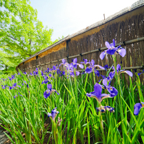 OTHERS(その他)のレンズ LAOWA 17mm F4 Ultra-Wide GFX Zero-D で撮影
