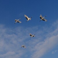 青空